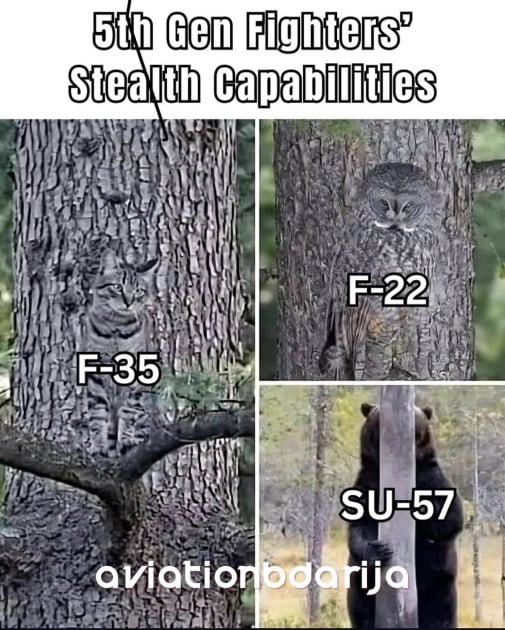net analoga
