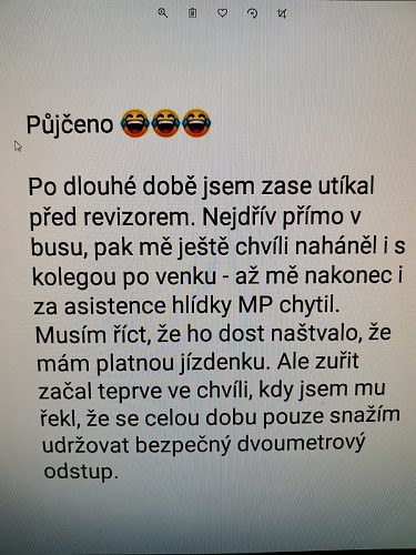 Nasrat revizora