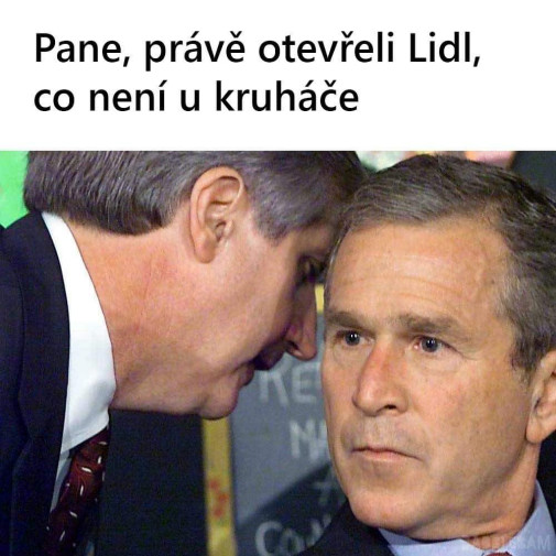 stary ale jary, ci jari?
