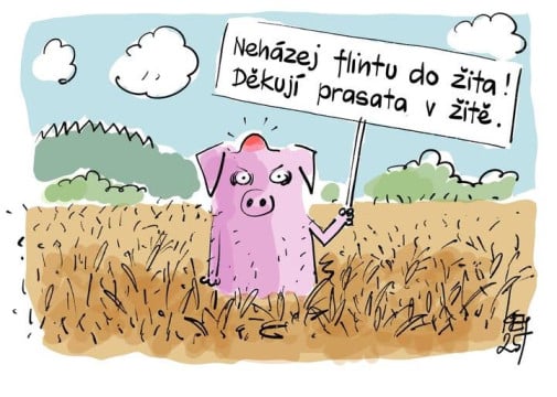 nepoliticky, ci?